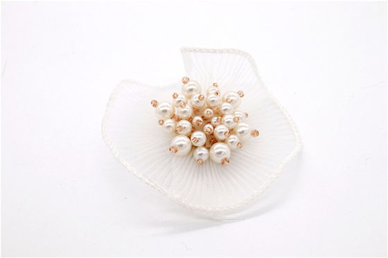 Eco - Friendly Shoe Lace Flowers Luxury Designs Decoration Accessories supplier